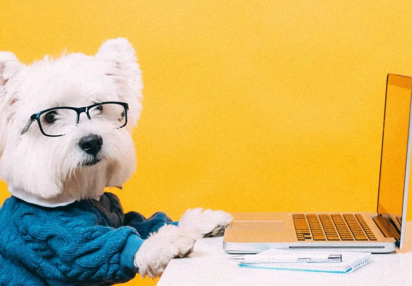 5 Video Meme Makers Fashion